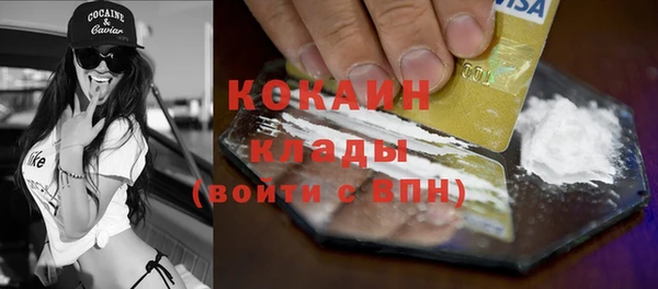 гидра Арсеньев